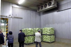 強制通風予冷庫内部